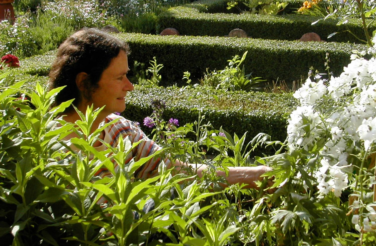 Voyage au cœur de mon jardin  Jardins Secrets